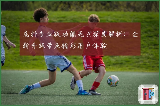 虎扑专业版功能亮点深度解析：全新升级带来精彩用户体验