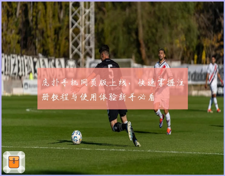 虎扑手机网页版上线，快速掌握注册教程与使用体验新手必看