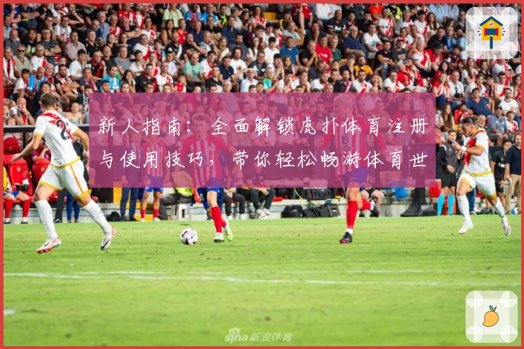 新人指南：全面解锁虎扑体育注册与使用技巧，带你轻松畅游体育世界