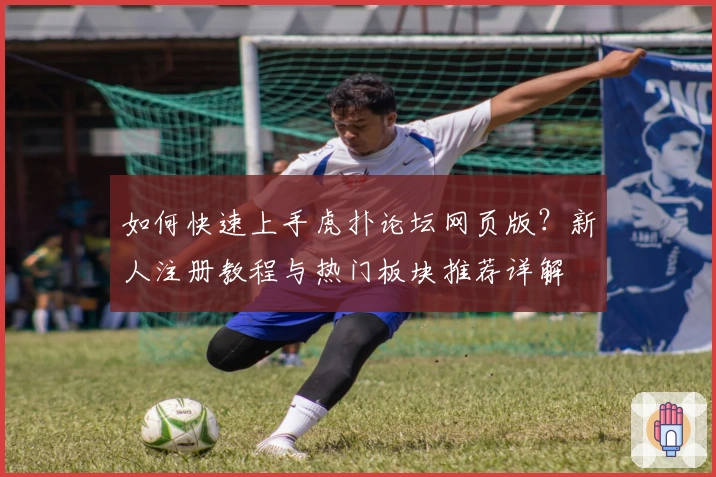 如何快速上手虎扑论坛网页版？新人注册教程与热门板块推荐详解